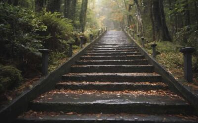 Comment devenir formateur les étapes clés pour lancer sa carrière